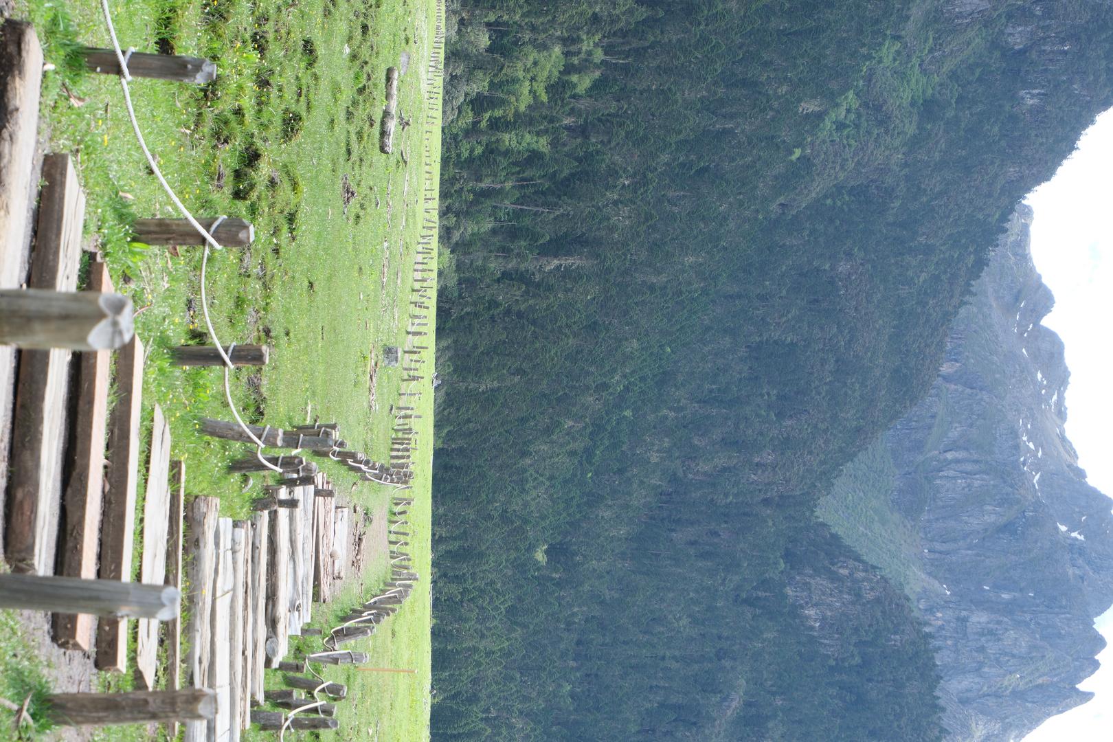 Summer Cinematic filter example