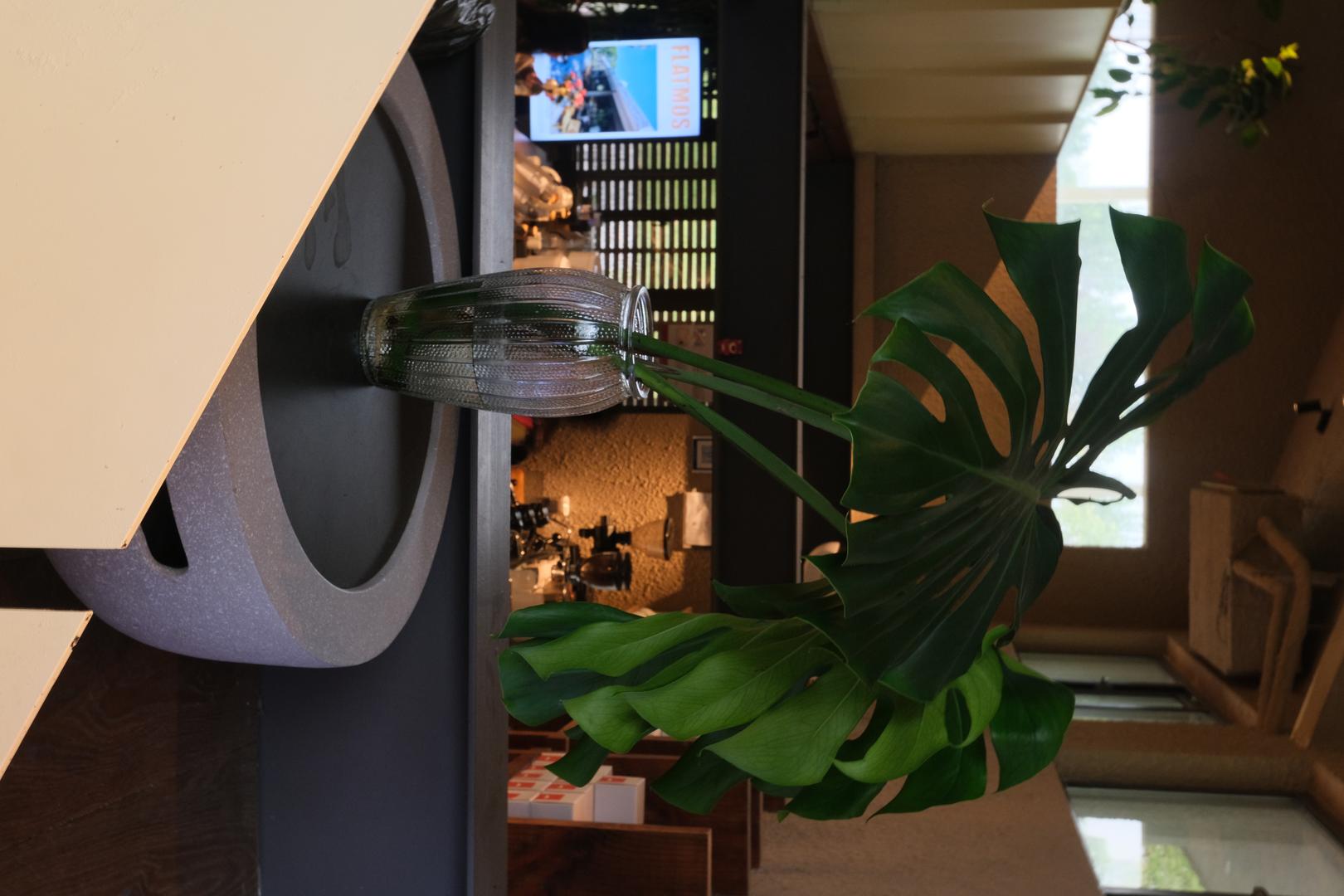 Cyan-Blue Cool Tone filter example