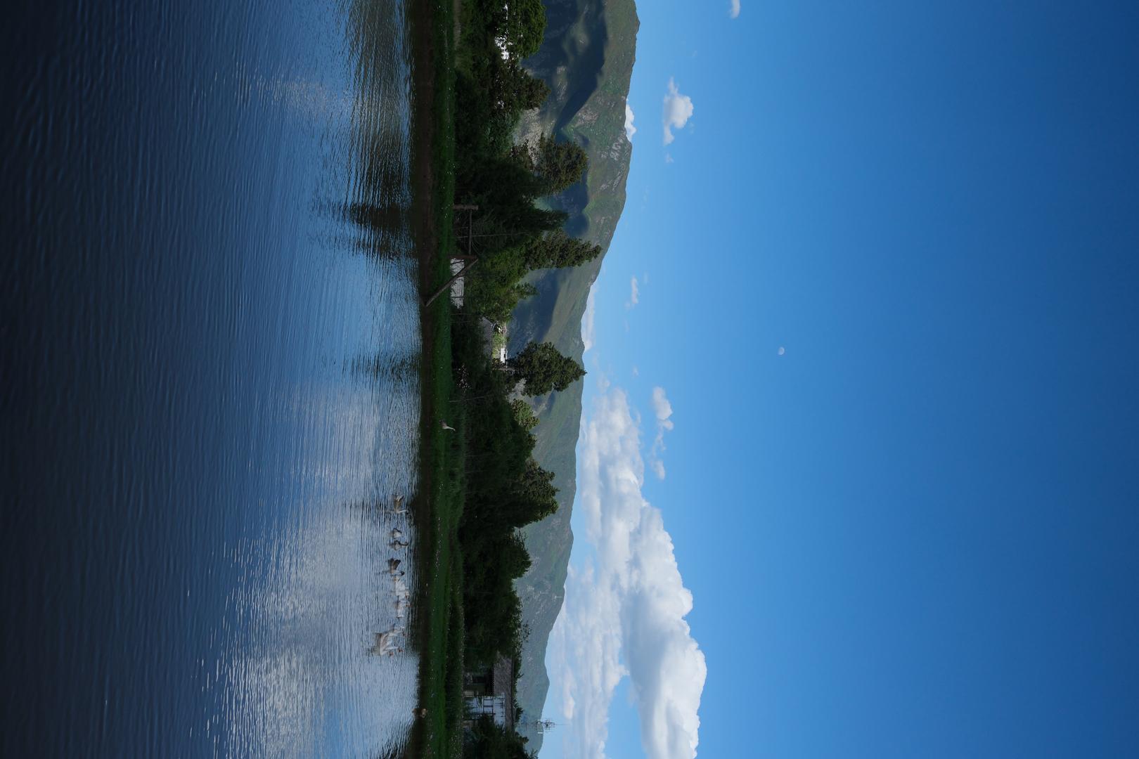 Hasselblad Blue filter example