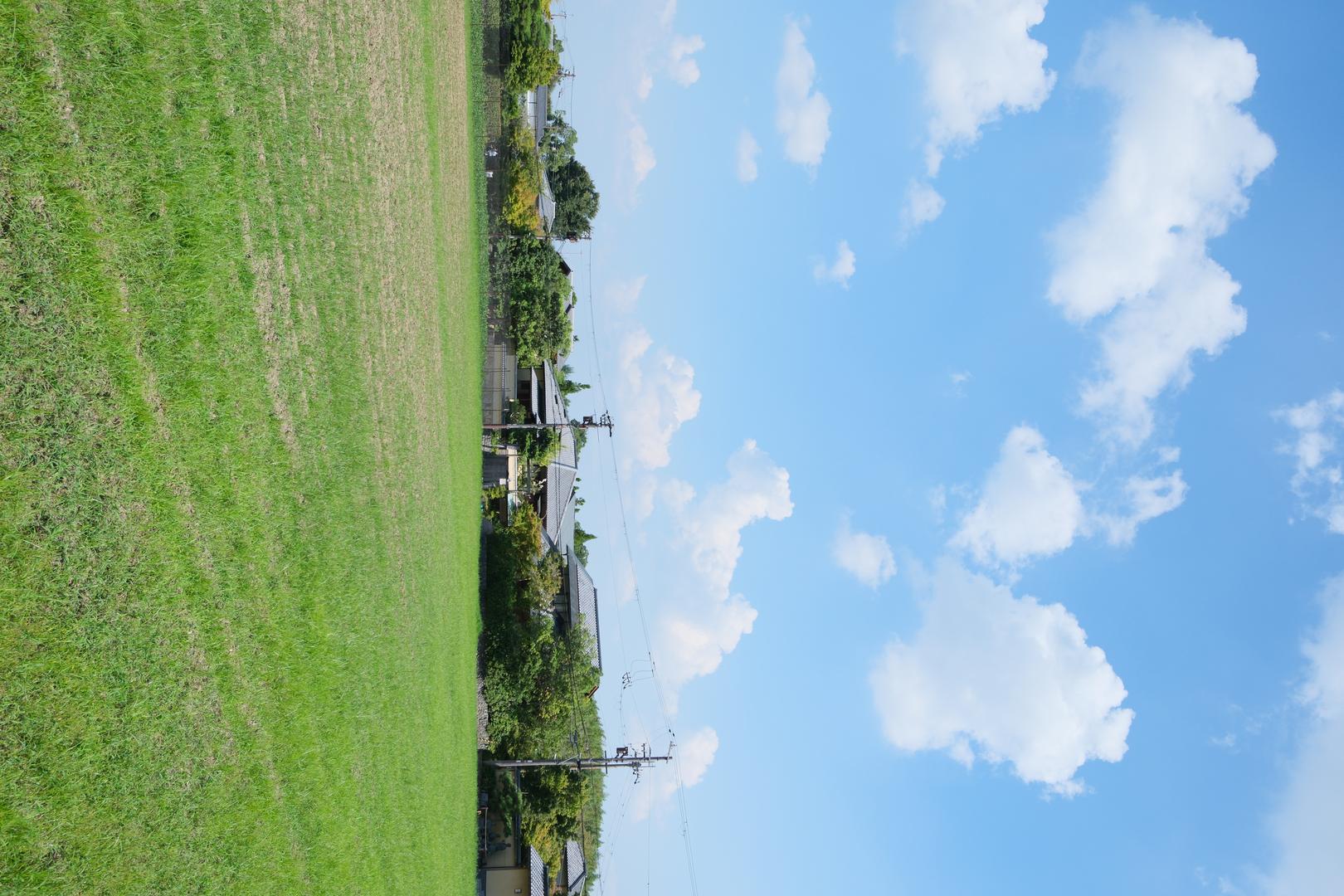 Japanese Fresh filter example