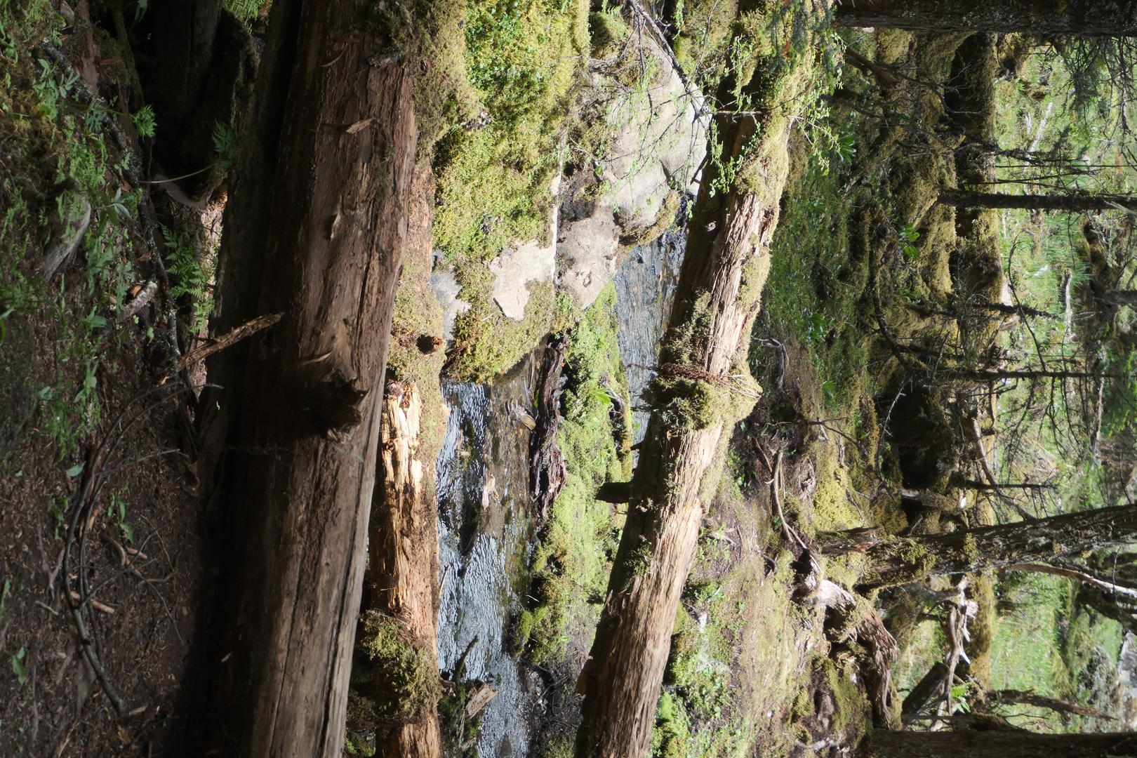 Film Cinematic filter example