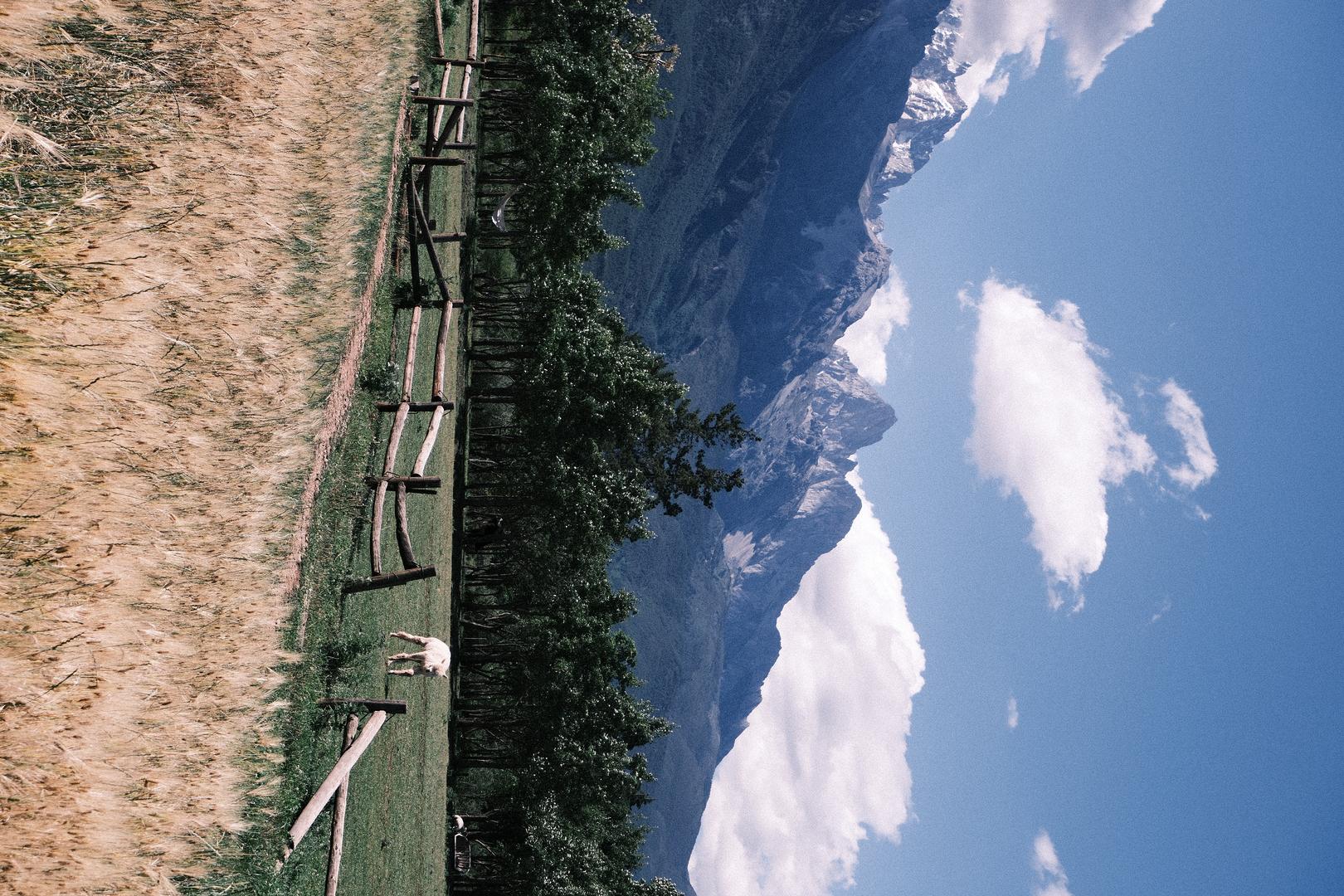 Vintage Light & Shadow filter example