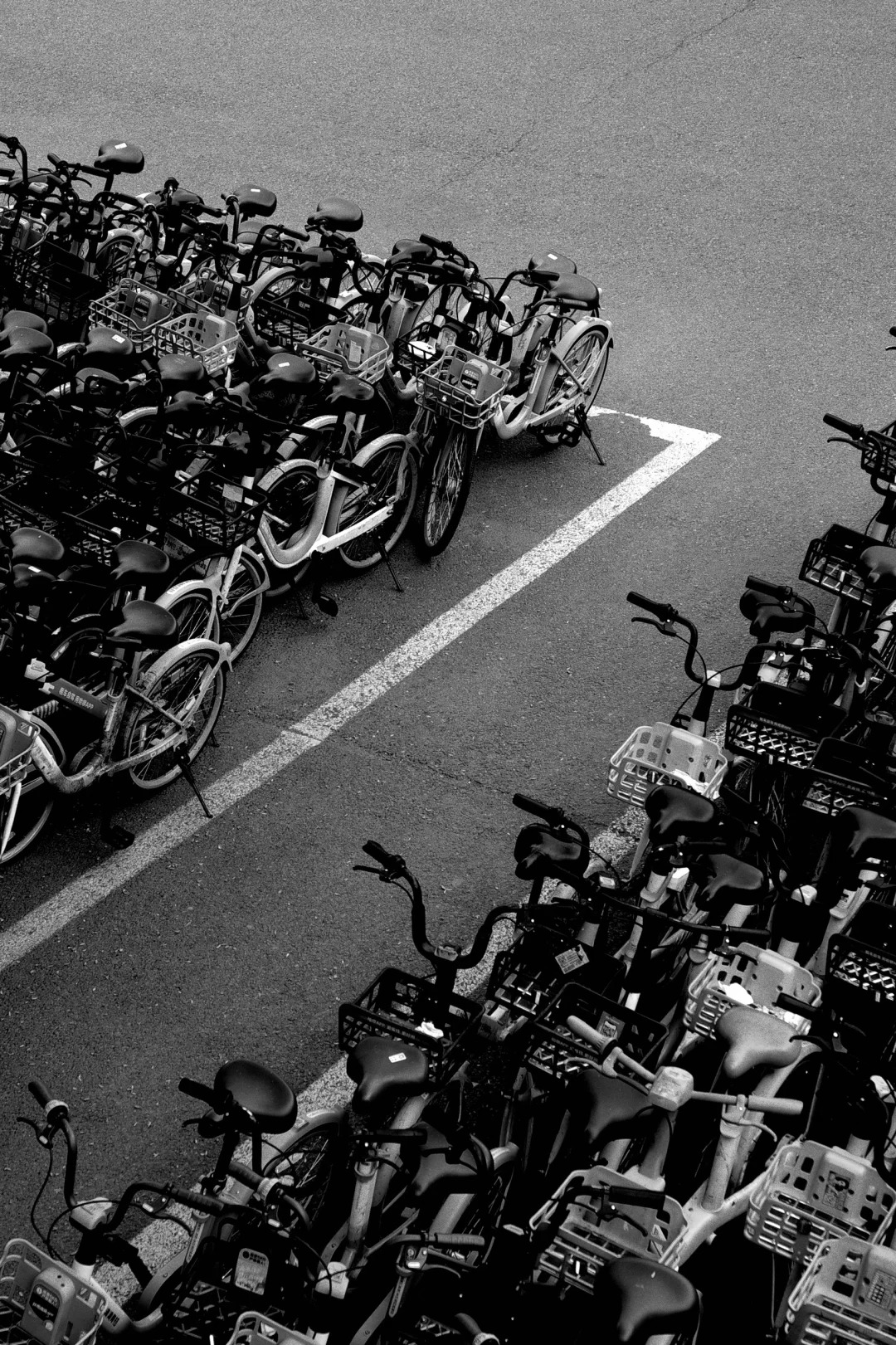 Hi-Contrast B&W filter example